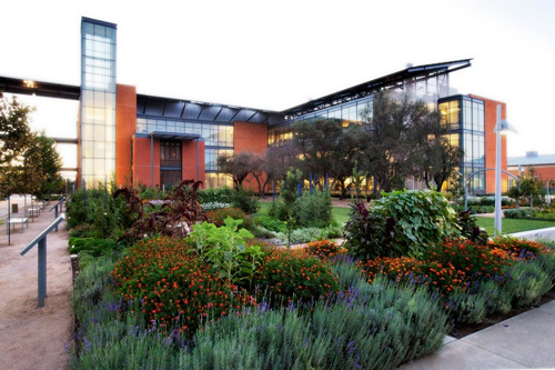 The Good Life Garden and Robert Modavi Institute