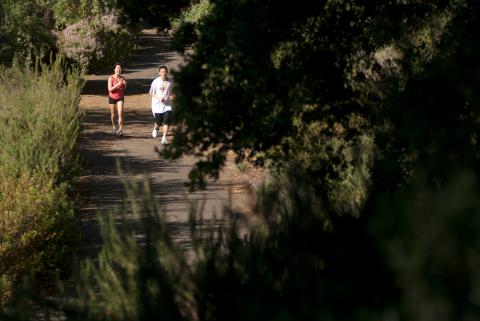 Two people run along the path in the Arboretum